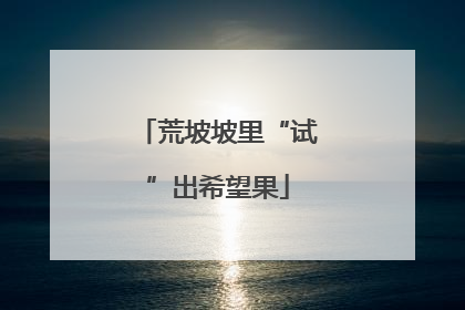 荒坡坡里“试”出希望果