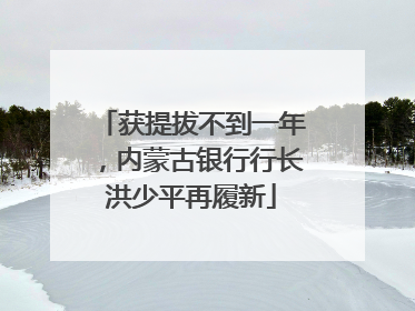 获提拔不到一年，内蒙古银行行长洪少平再履新