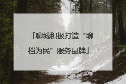 聊城积极打造“聊档为民”服务品牌