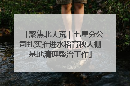 聚焦北大荒｜七星分公司扎实推进水稻育秧大棚基地清理整治工作