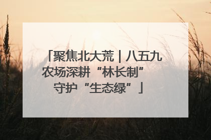 聚焦北大荒｜八五九农场深耕“林长制” 守护“生态绿”