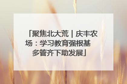 聚焦北大荒｜庆丰农场：学习教育强根基 多管齐下助发展