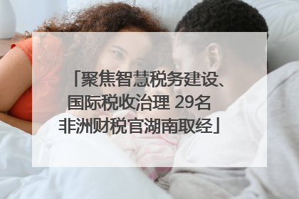 聚焦智慧税务建设、国际税收治理 29名非洲财税官湖南取经