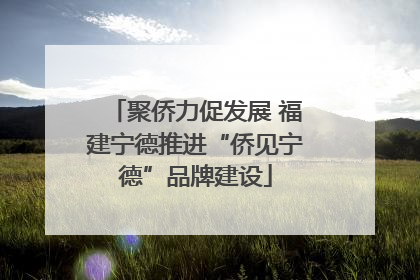 聚侨力促发展 福建宁德推进“侨见宁德”品牌建设