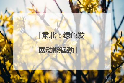 肃北：绿色发展动能强劲