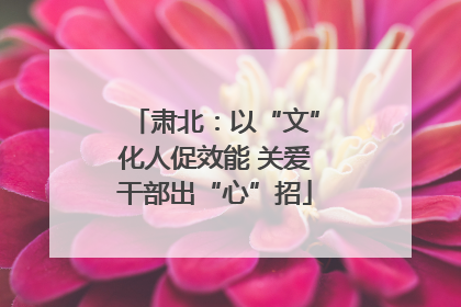 肃北：以“文”化人促效能 关爱干部出“心”招