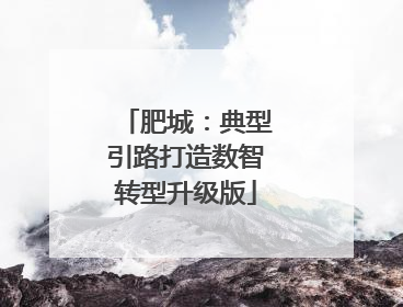 肥城：典型引路打造数智转型升级版
