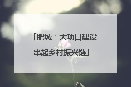 肥城：大项目建设串起乡村振兴链
