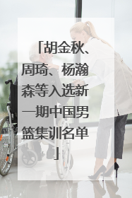 胡金秋、周琦、杨瀚森等入选新一期中国男篮集训名单