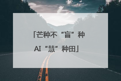 芒种不“盲”种 AI“慧”种田