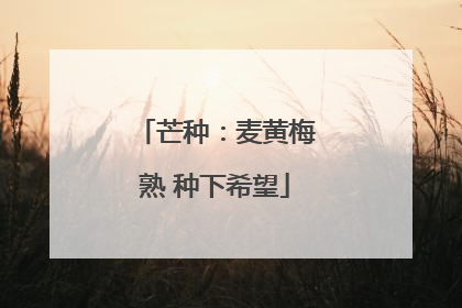 芒种：麦黄梅熟 种下希望