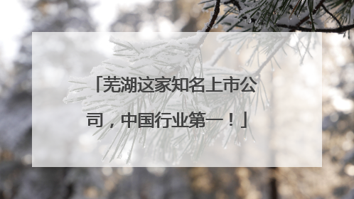 芜湖这家知名上市公司，中国行业第一！