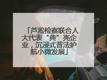 芦淞检察联合人大代表“典”亮企业，沉浸式普法护航小微发展