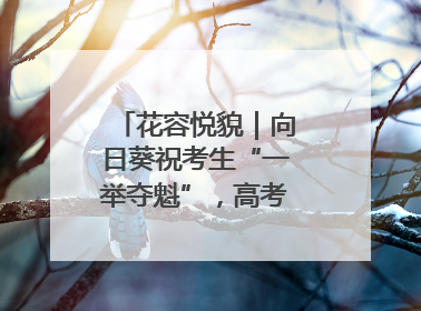 花容悦貌｜向日葵祝考生“一举夺魁”，高考带动鲜花热潮