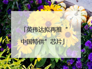 英伟达拟再推“中国特供”芯片