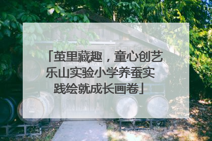 茧里藏趣，童心创艺 乐山实验小学养蚕实践绘就成长画卷