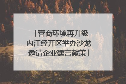 营商环境再升级 内江经开区举办沙龙邀请企业建言献策