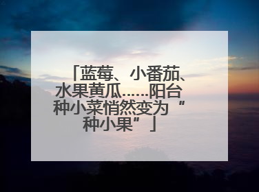 蓝莓、小番茄、水果黄瓜……阳台种小菜悄然变为“种小果”