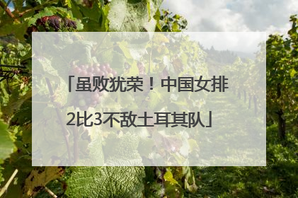 虽败犹荣！中国女排2比3不敌土耳其队