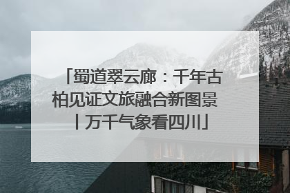 蜀道翠云廊：千年古柏见证文旅融合新图景丨万千气象看四川