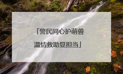 警民同心护萌兽 温情救助显担当
