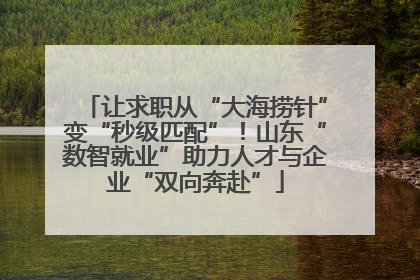 让求职从“大海捞针”变“秒级匹配”！山东“数智就业”助力人才与企业“双向奔赴”