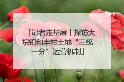 记者走基层丨探访大垸镇和丰村土地“三统一分”运营机制