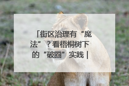 街区治理有“魔法”？看梧桐树下的“破圈”实践｜我在街区当书记