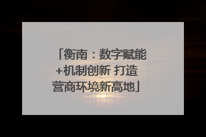 衡南：数字赋能+机制创新 打造营商环境新高地
