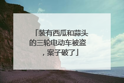 装有西瓜和蒜头的三轮电动车被盗，案子破了