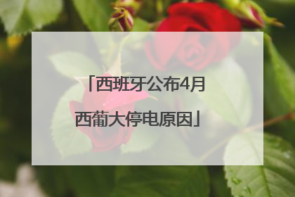西班牙公布4月西葡大停电原因