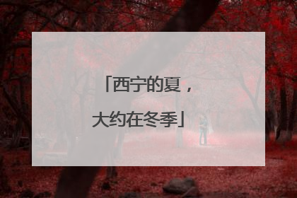 西宁的夏，大约在冬季