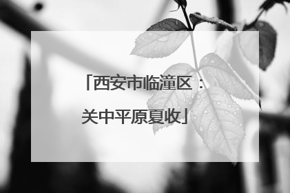 西安市临潼区：关中平原夏收