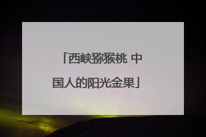 西峡猕猴桃 中国人的阳光金果