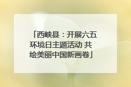 西峡县：开展六五环境日主题活动 共绘美丽中国新画卷