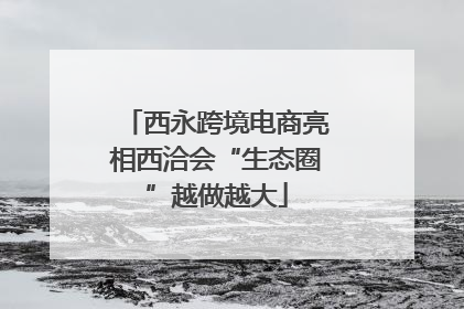 西永跨境电商亮相西洽会“生态圈”越做越大