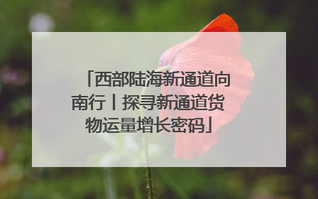 西部陆海新通道向南行丨探寻新通道货物运量增长密码