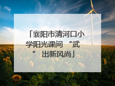 襄阳市清河口小学阳光课间 “武” 出新风尚