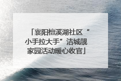 襄阳檀溪湖社区“小手拉大手”洁城靓家园活动暖心收官