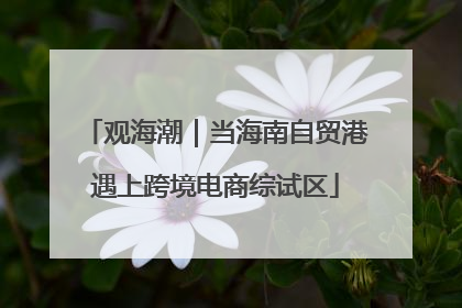 观海潮｜当海南自贸港遇上跨境电商综试区