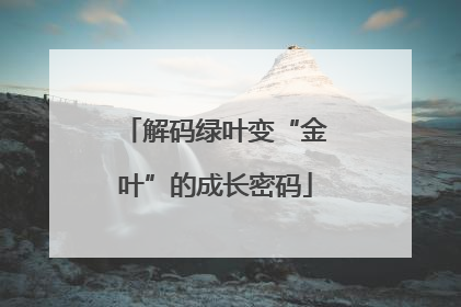 解码绿叶变“金叶”的成长密码