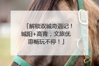 解锁双城奇遇记！城阳+高青，文旅优惠畅玩不停！