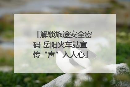 解锁旅途安全密码 岳阳火车站宣传“声”入人心
