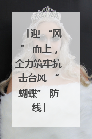 迎 “风” 而上，全力筑牢抗击台风 “蝴蝶” 防线