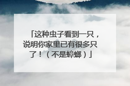 这种虫子看到一只，说明你家里已有很多只了！（不是蟑螂）