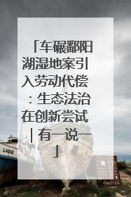 车碾鄱阳湖湿地案引入劳动代偿：生态法治在创新尝试｜有一说一