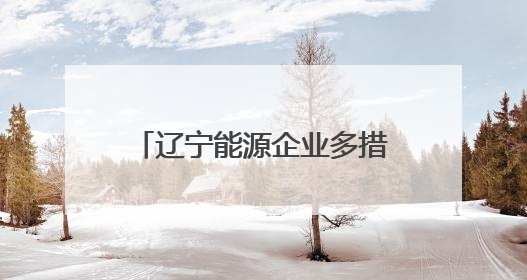 辽宁能源企业多措并举备战迎峰度夏