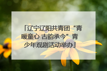 辽宁辽阳共青团“青暖童心 古韵承今”青少年观剧活动举办