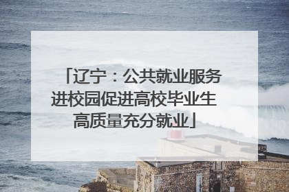 辽宁：公共就业服务进校园促进高校毕业生高质量充分就业