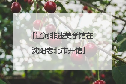 辽河非遗美学馆在沈阳老北市开馆